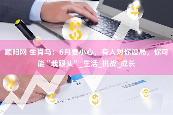 顺阳网 生肖马：6月要小心，有人对你设局，你可能“栽跟头”_生活_挑战_成长