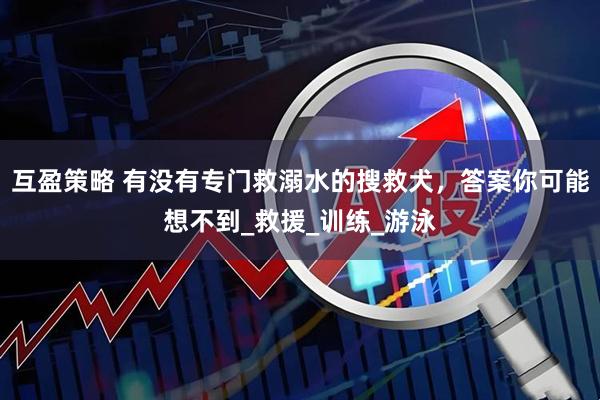 互盈策略 有没有专门救溺水的搜救犬，答案你可能想不到_救援_训练_游泳