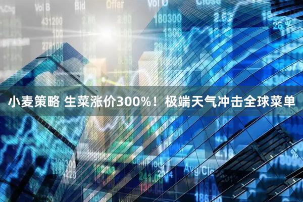 小麦策略 生菜涨价300%！极端天气冲击全球菜单