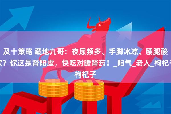 及十策略 藏地九哥：夜尿频多、手脚冰凉、腰腿酸软？你这是肾阳虚，快吃对暖肾药！_阳气_老人_枸杞子
