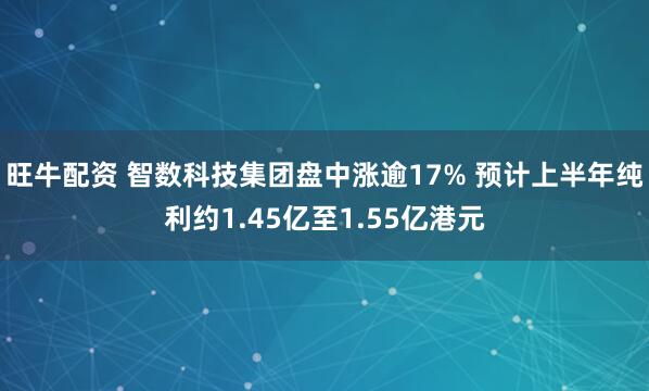 旺牛配资 智数科技集团盘中涨逾17% 预计上半年纯利约1.45亿至1.55亿港元